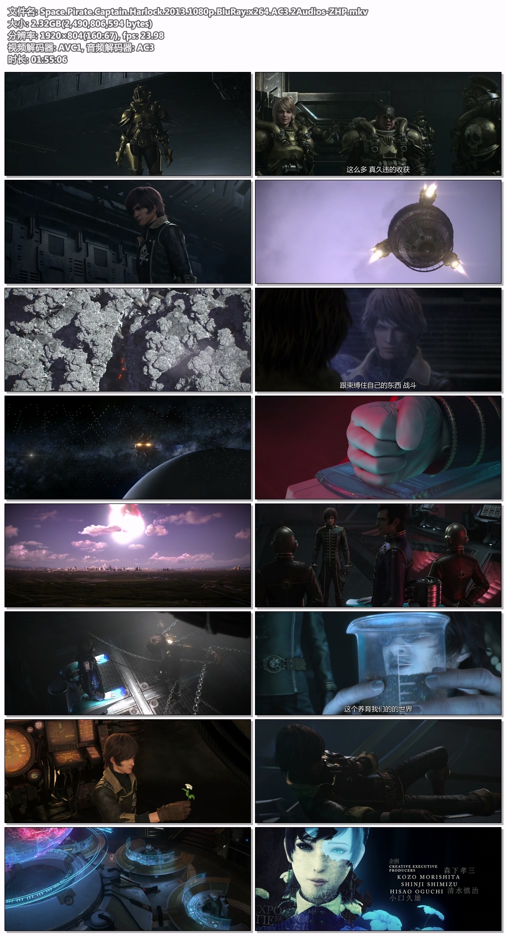 Space.Pirate.Captain.Harlock.2013.1080p.BluRay.x264.AC3.2Audios-ZHP.jpg