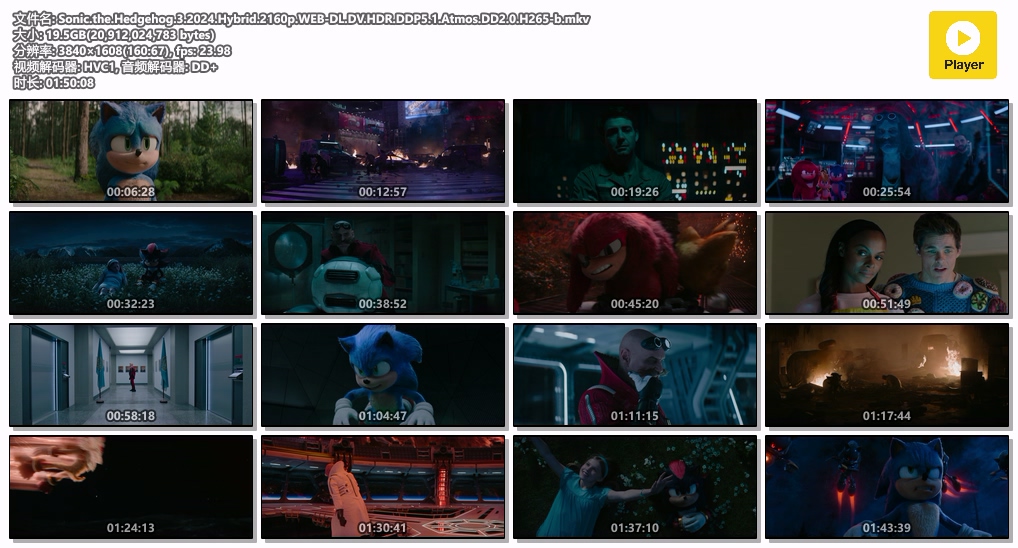 刺猬索尼克3.Sonic.the.Hedgehog.3.2024.Hybrid.2160p.WEB-DL.DV.HDR.DDP5.1.Atmos.DD.jpg