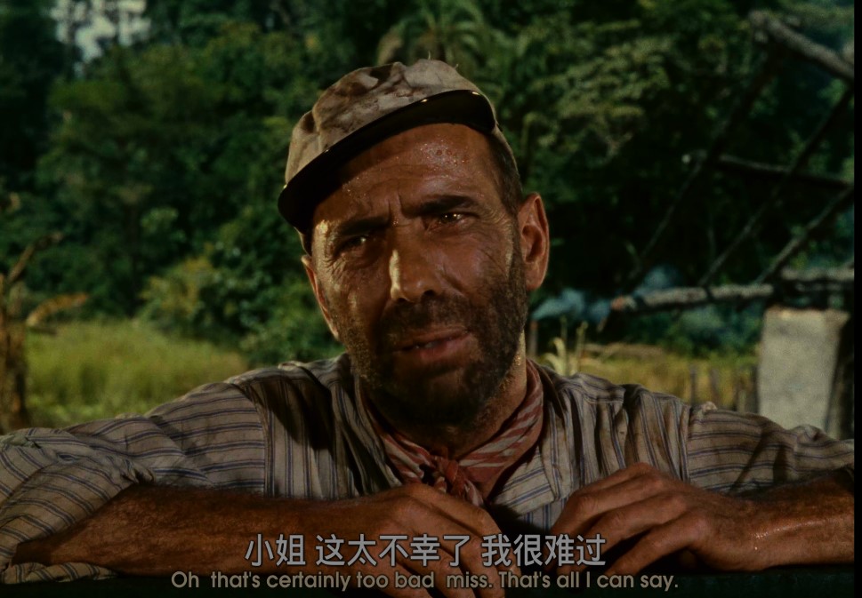 屏幕截图 2025-01-30 114122.jpg