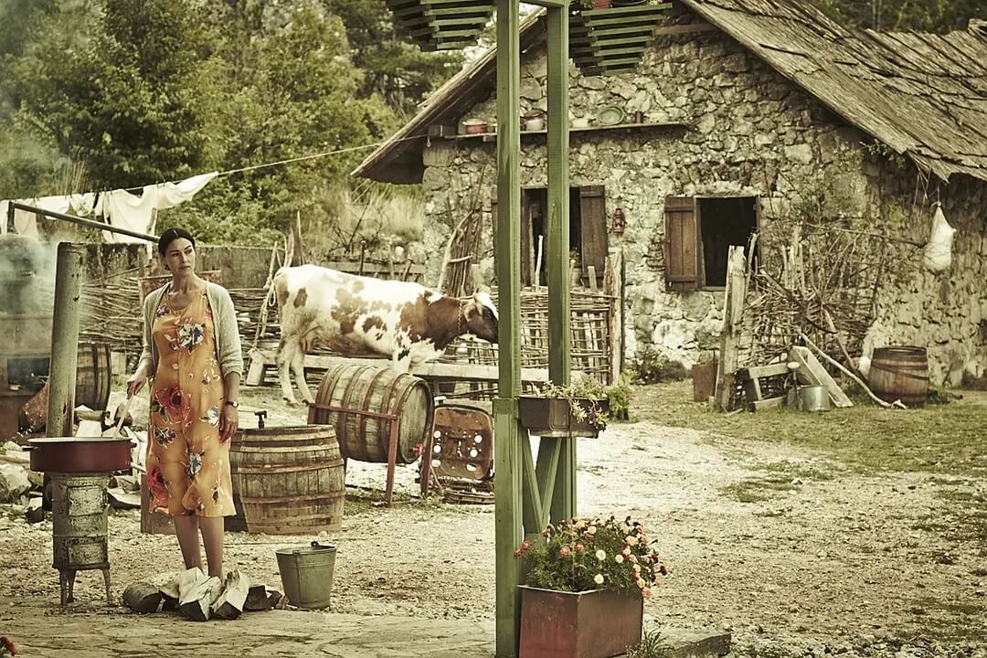 p2549308405.webp (1).jpg