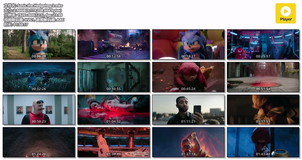 Sonic.the.Hedgehog.3.mkv (2).jpg