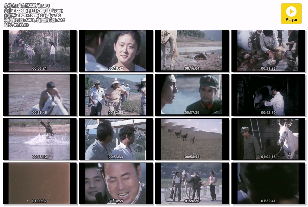 奔向银幕的马.MP4.jpg