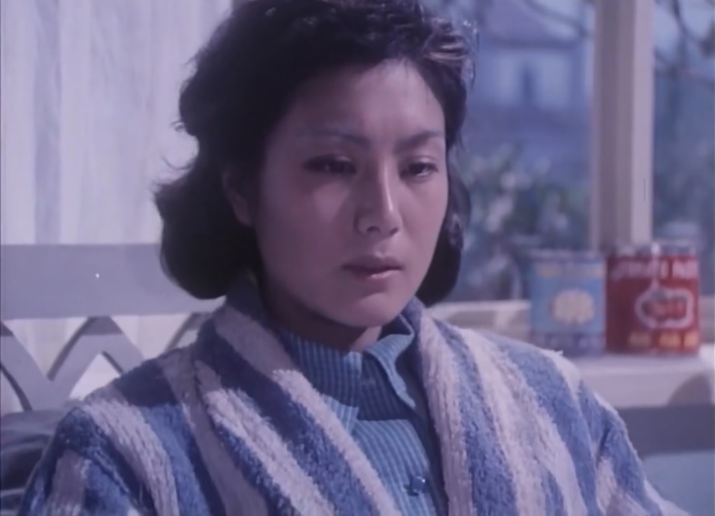 丹凤朝阳.Dan Feng Chao Yang.1980.HD.720p.x265(10).AAC.NT-Zws.国语无字.mkv_202503.jpg