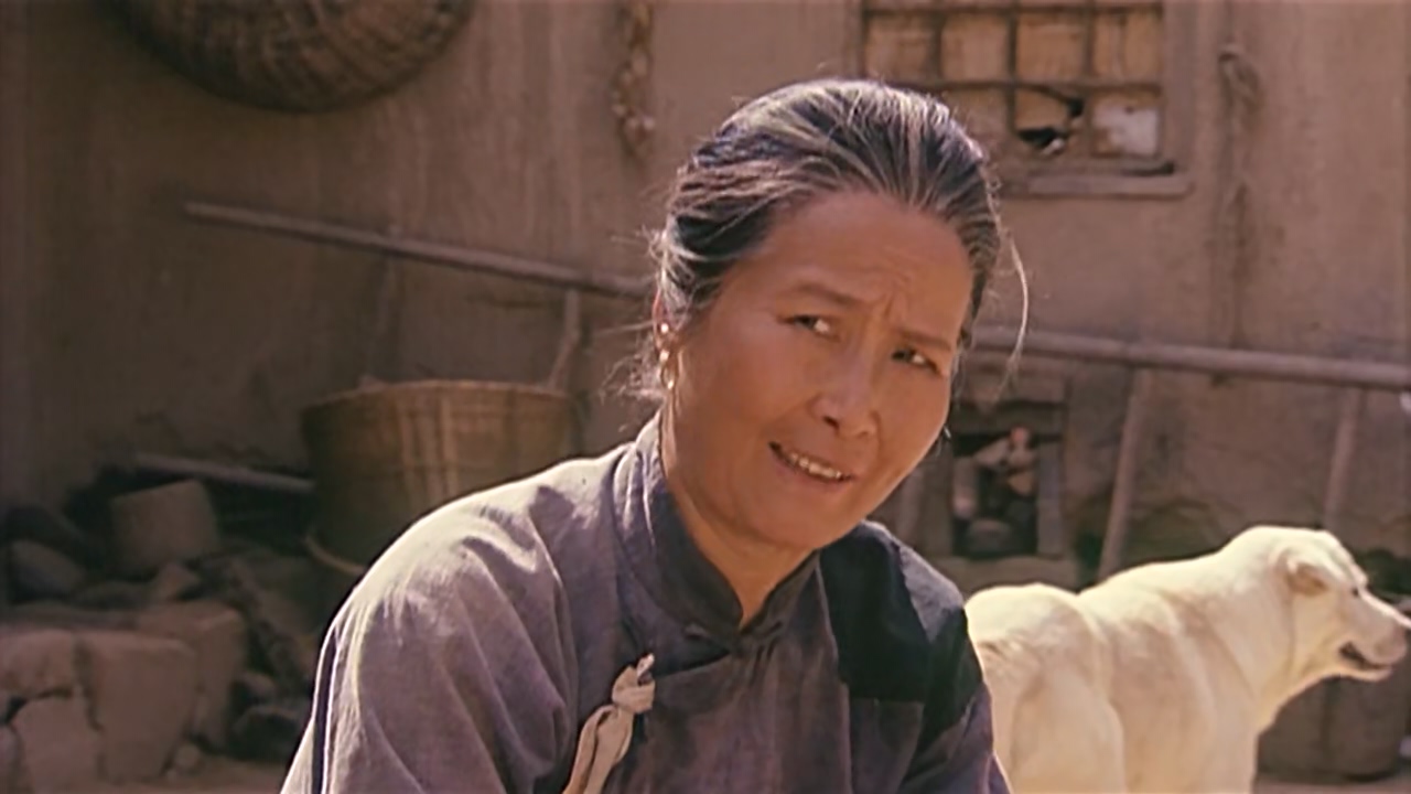 筏子客.1992.WEB-DL.720p.x265(10).AAC.NT-Zws.国语无字.mkv_20250306_110613.841.jpg