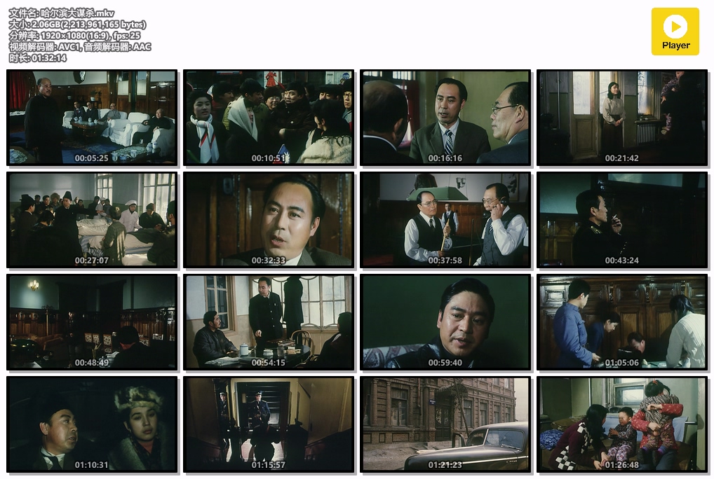 哈尔滨大谋杀.mkv.jpg