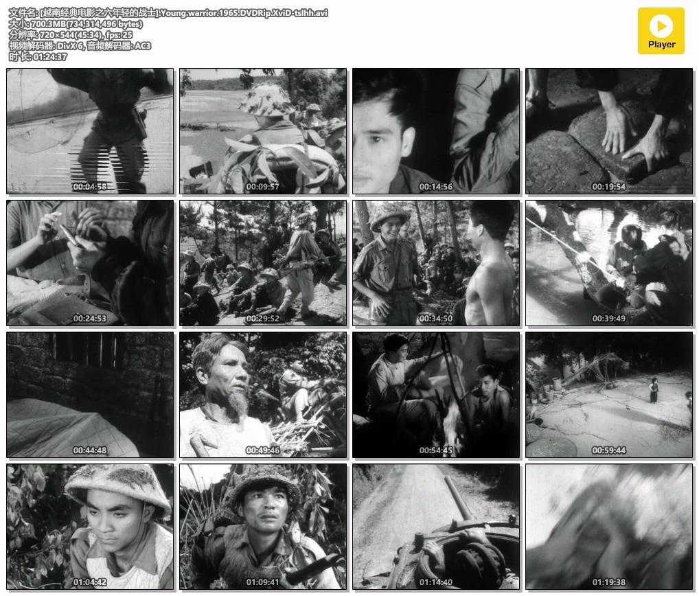 [越南经典电影之六年轻的战士].Young.warrior.1965.DVDRip.XviD-tslhh.avi.jpg