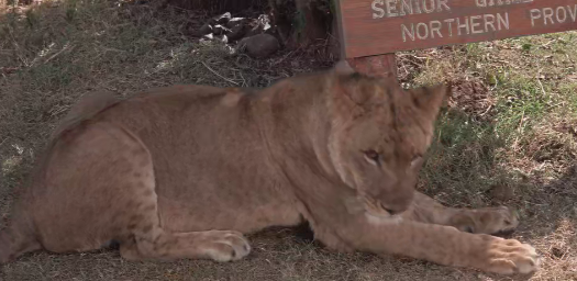 屏幕截图 2025-03-14 222449.png