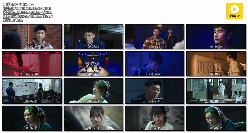 燃罪.RZ 12 4K.mkv.jpg
