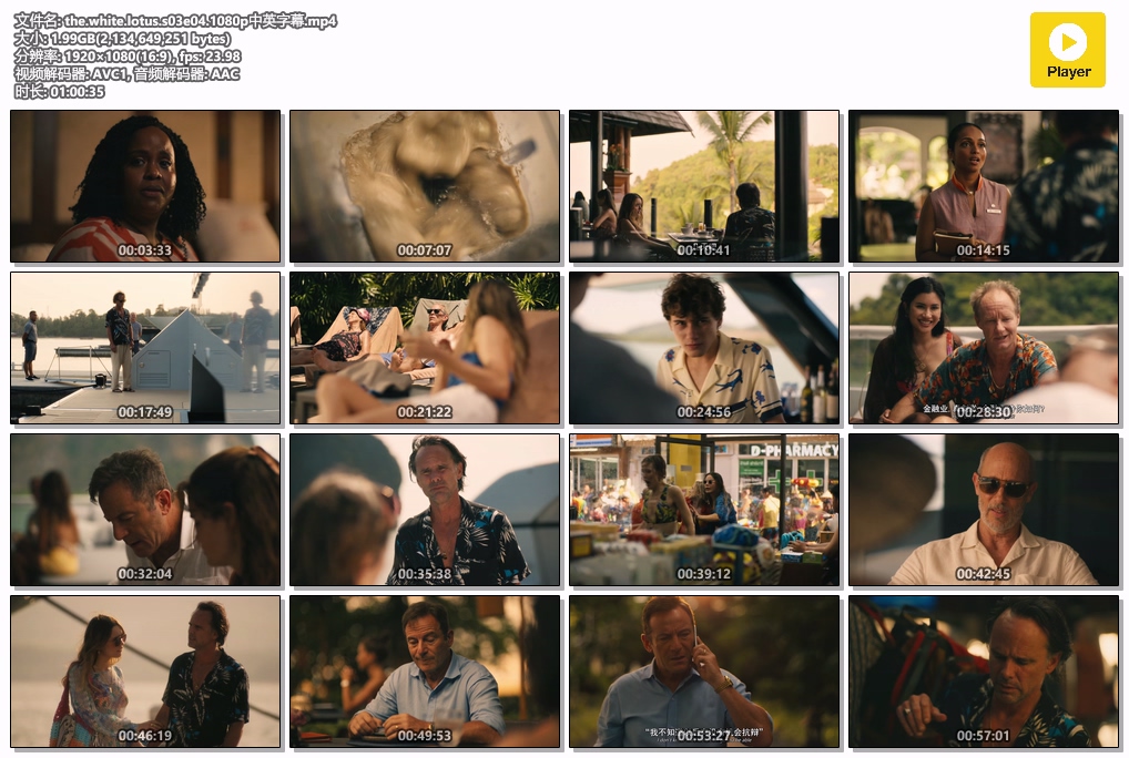 the.white.lotus.s03e04.1080p中英字幕.mp4.jpg