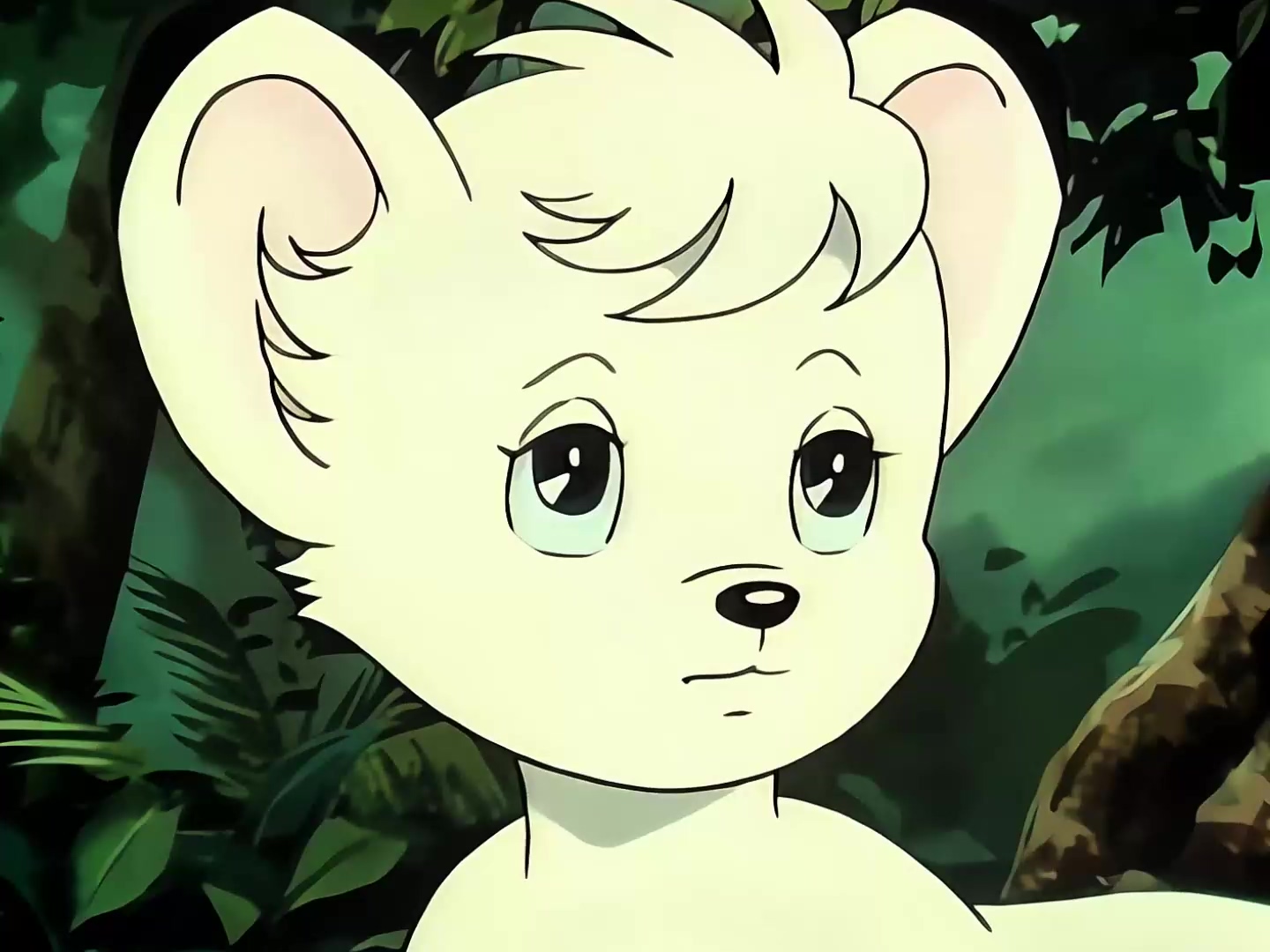 06 侵入者.mp4_20250316_115425.660.jpg