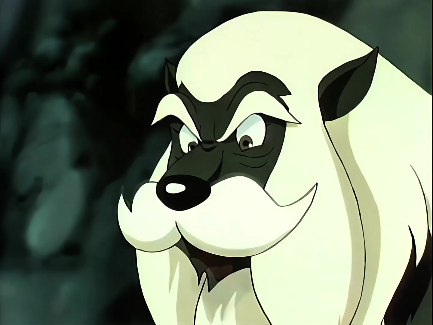 23 移居.mp4_20250316_115532.188.jpg