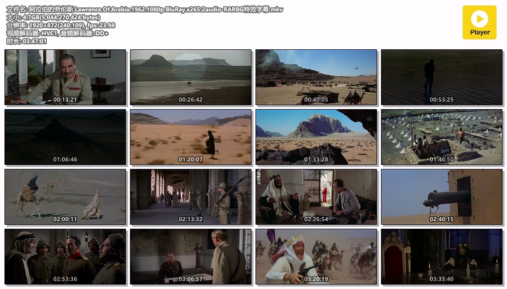 阿拉伯的劳伦斯.Lawrence.Of.Arabia.1962.1080p.BluRay.x265.2audio-RARBG特效字幕.mkv.jpg