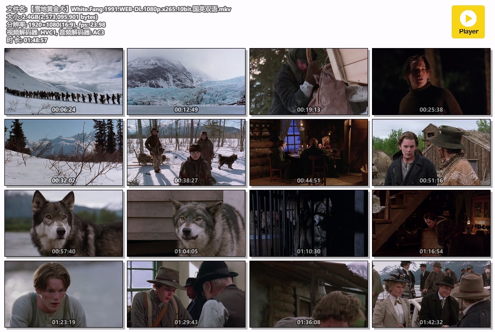 【雪地黄金犬】White.Fang.1991.WEB-DL.1080p.x265.10bit.国英双语.mkv.jpg