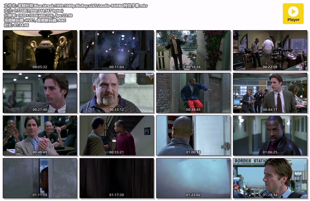 笨贼妙探.Blue.Streak.1999.1080p.BluRay.x265.2audio-RARBG特效字幕.mkv.jpg