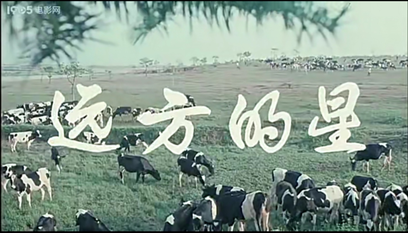 图像2025-3-22 21.00.jpeg