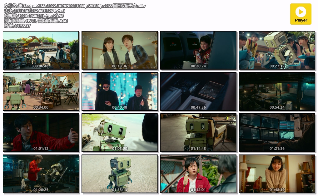 唐.Tang.and.Me.2022.JAPANESE.1080p.WEBRip.x265.国日双语无字.mkv.jpg