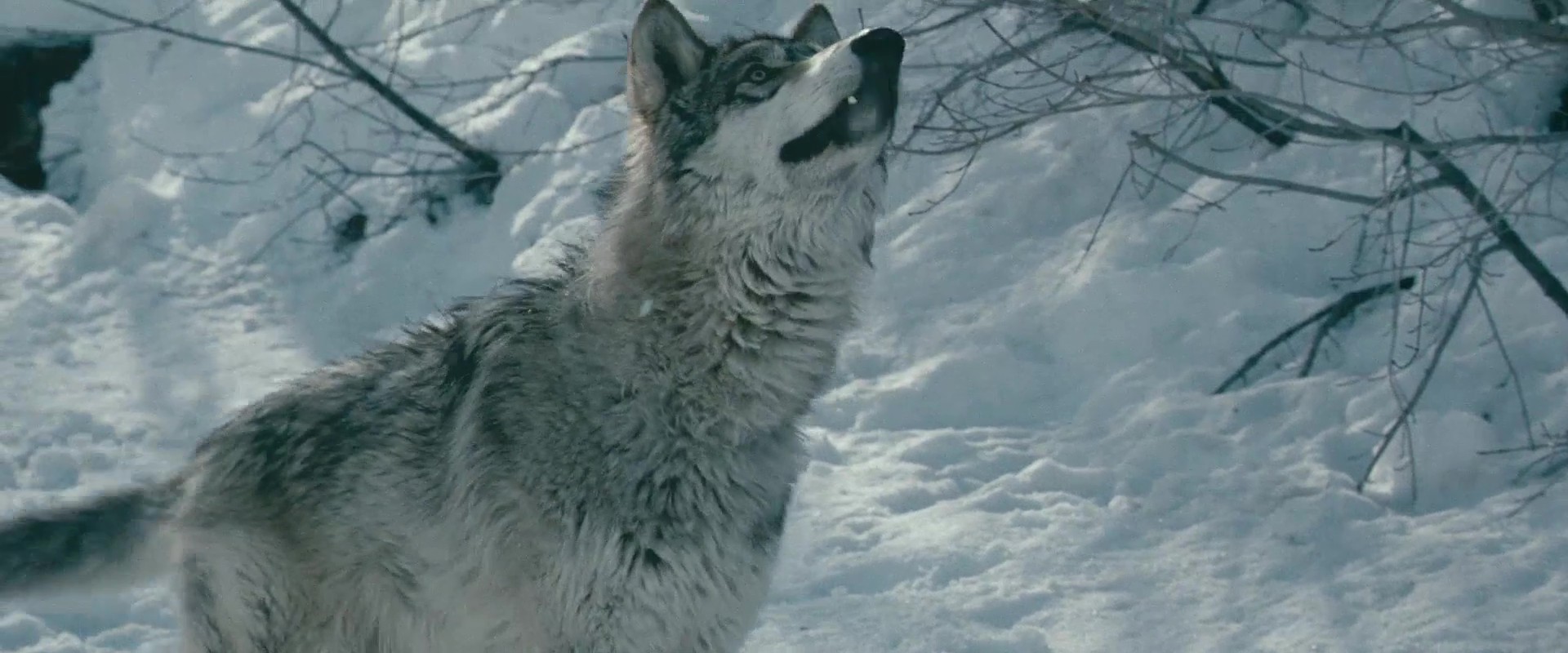 B 冰封36小时-2010 - frame at 75m16s.jpg