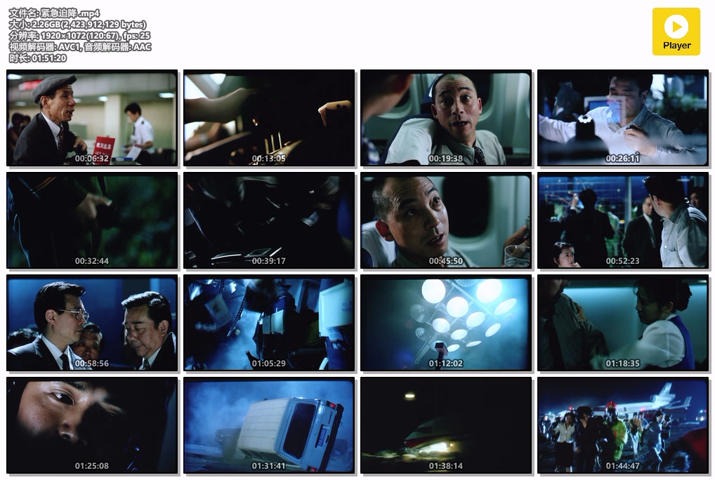 紧急迫降 .mp4.jpg