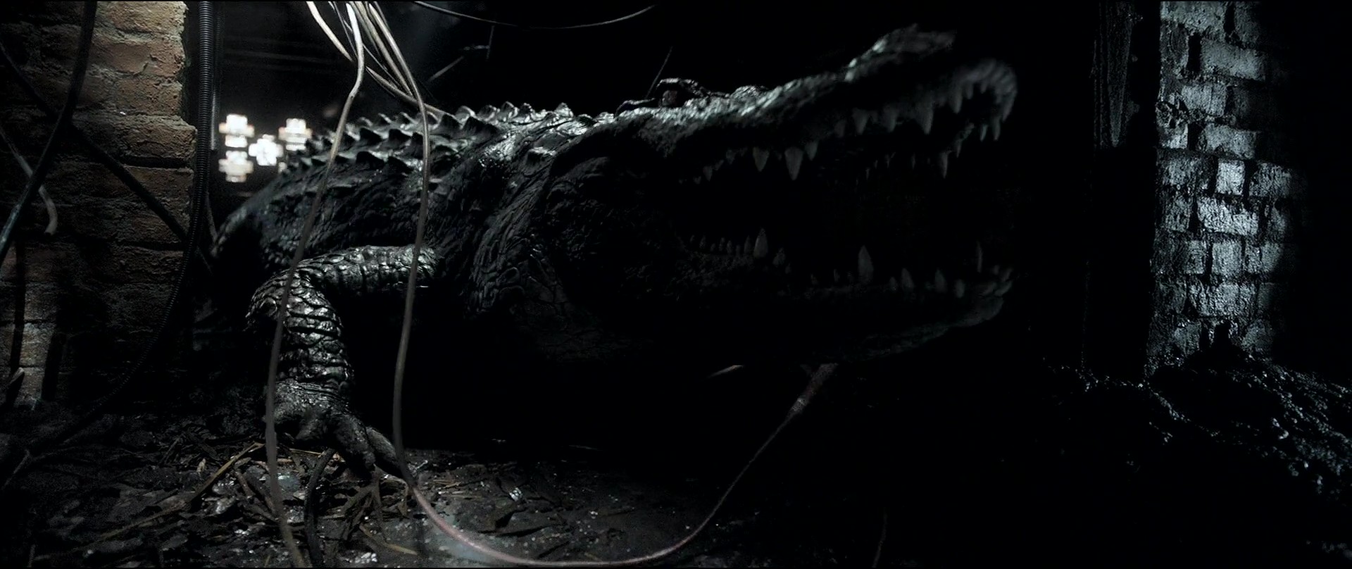 J 巨鳄风暴-2019 - frame at 30m55s.jpg