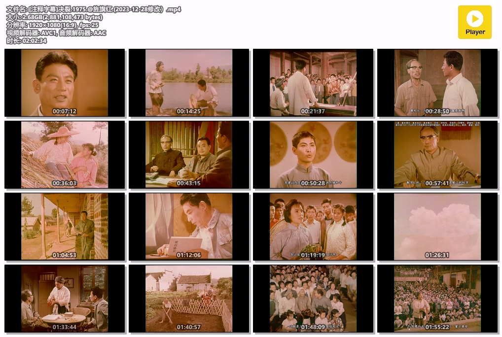 [注释字幕]决裂.1975.@旌旗红.(2023-12-28修改）.mp4.jpg