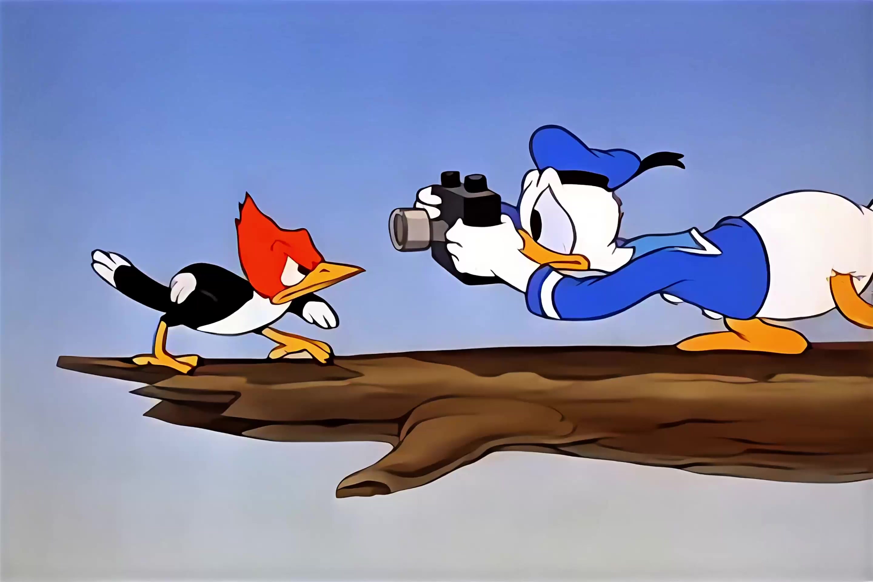 唐老鸭的幸福生活 34.mkv_20250405_020322.322.jpg