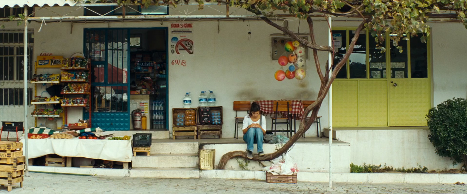 阿曼尼亚：欢迎来到德国 (2011) 1080p [AAC, AC3] [zho, tur] h265.mkv_20250405_184817.405.jpg