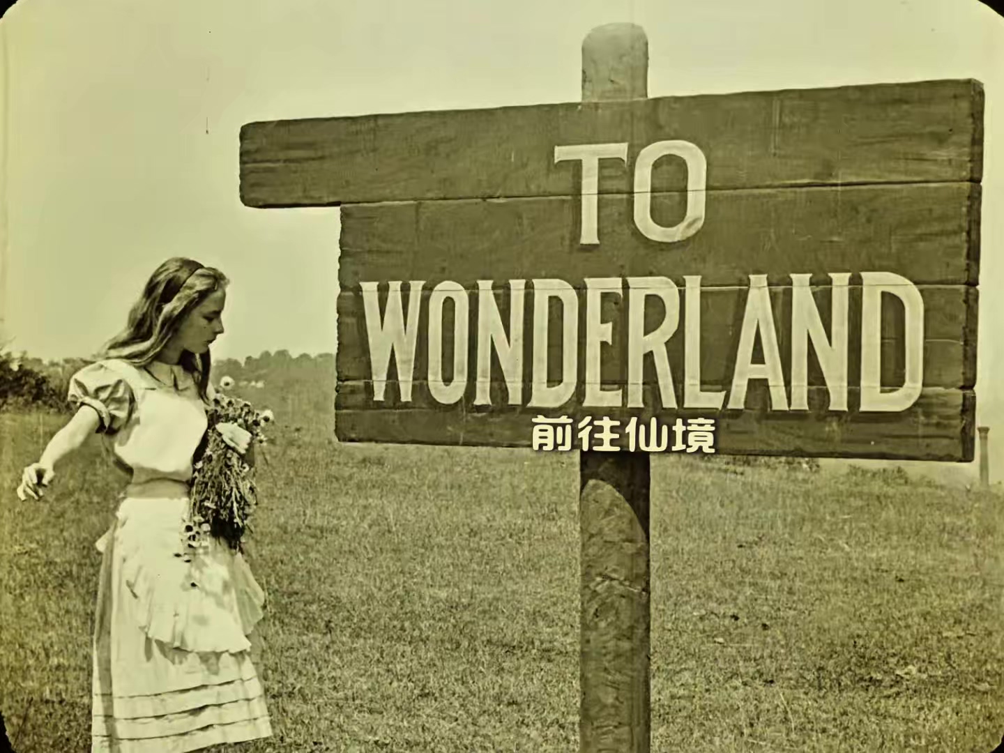 爱丽丝漫游仙境 1915.mp4_20250406_015523.203.jpg