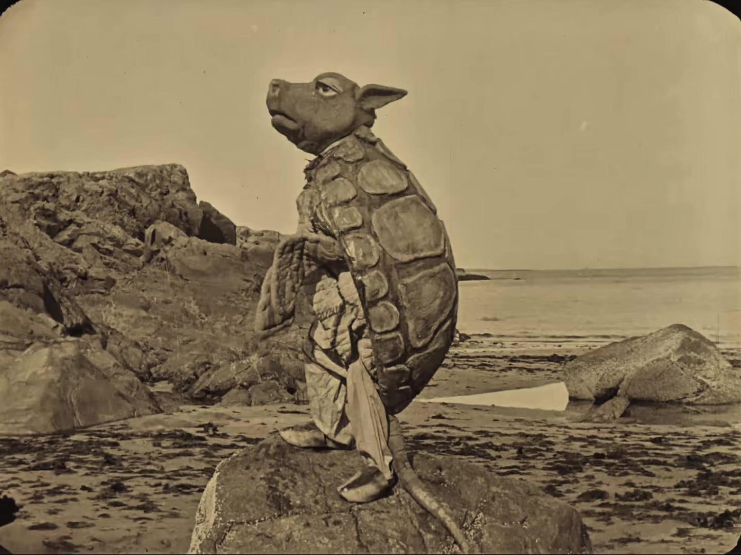 爱丽丝漫游仙境 1915.mp4_20250406_015911.782.jpg