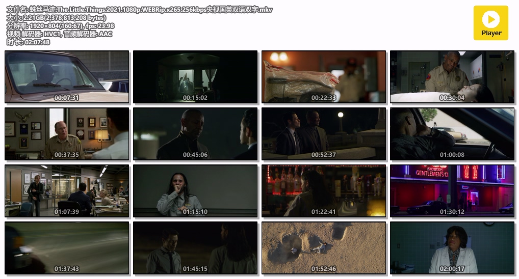 蛛丝马迹.The.Little.Things.2021.1080p.WEBRip.x265.256kbps央视国英双语双字.mkv.jpg