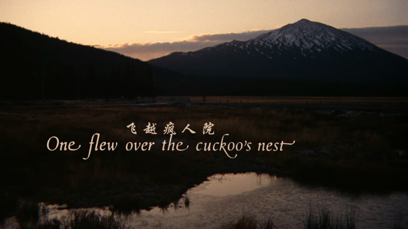 飞越疯人院(35周年纪念版).One.Flew.Over.the.Cuckoo's.Nest.35th.Anniversary.E.jpg