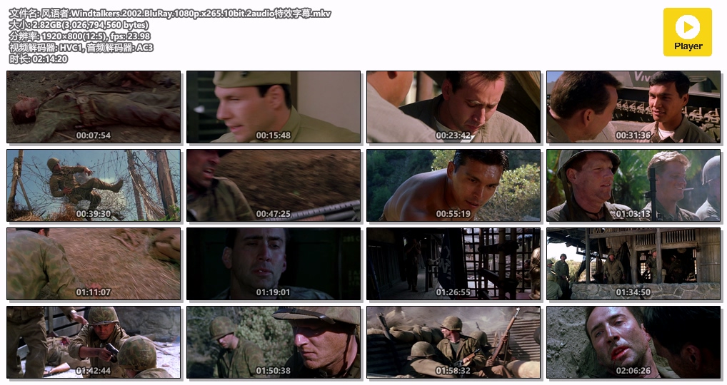 风语者.Windtalkers.2002.BluRay.1080p.x265.10bit.2audio特效字幕.mkv.jpg