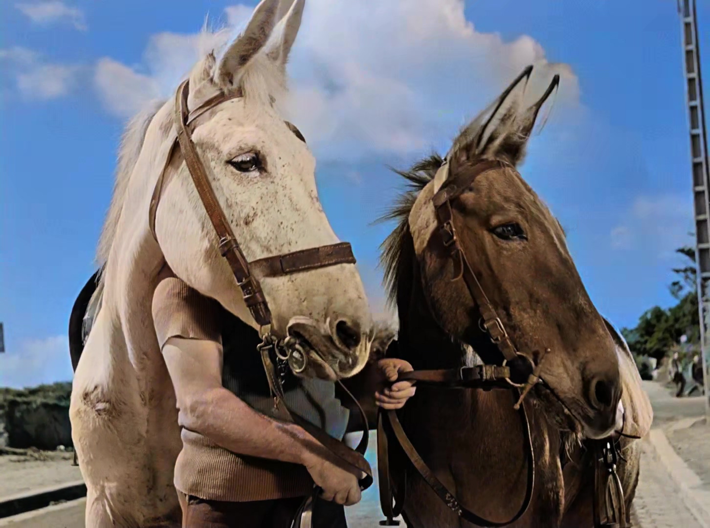 于洛先生的假期 彩色版.mkv_20250413_143318.524.jpg