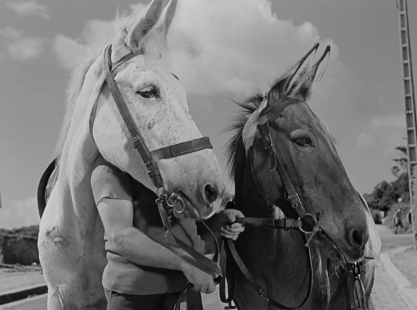 于洛先生的假期 黑白版.mkv_20250413_143319.206.jpg