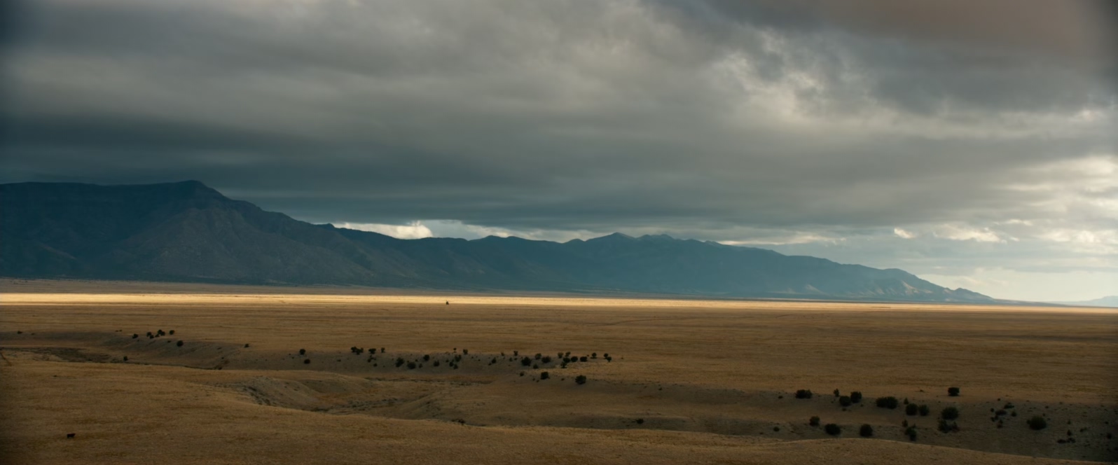 孤独的幸存者.Lone.Survivor.2013.BluRay.1080p.x265.10bit.AAC.2audio特效字幕 (1).m.jpg