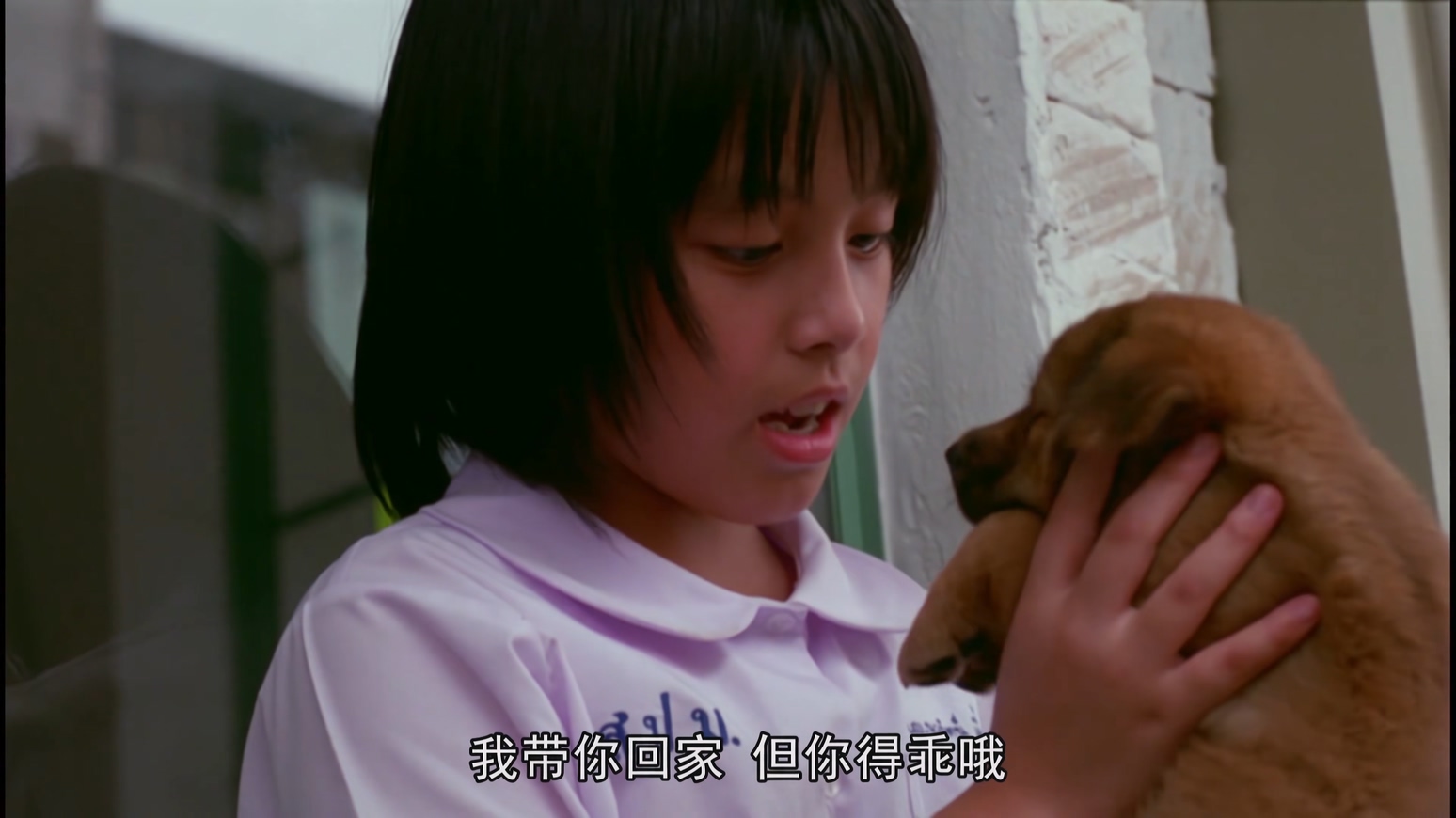 再见 流浪犬 2006 (国配 硬中字).mkv_20250414_212453.317.jpg