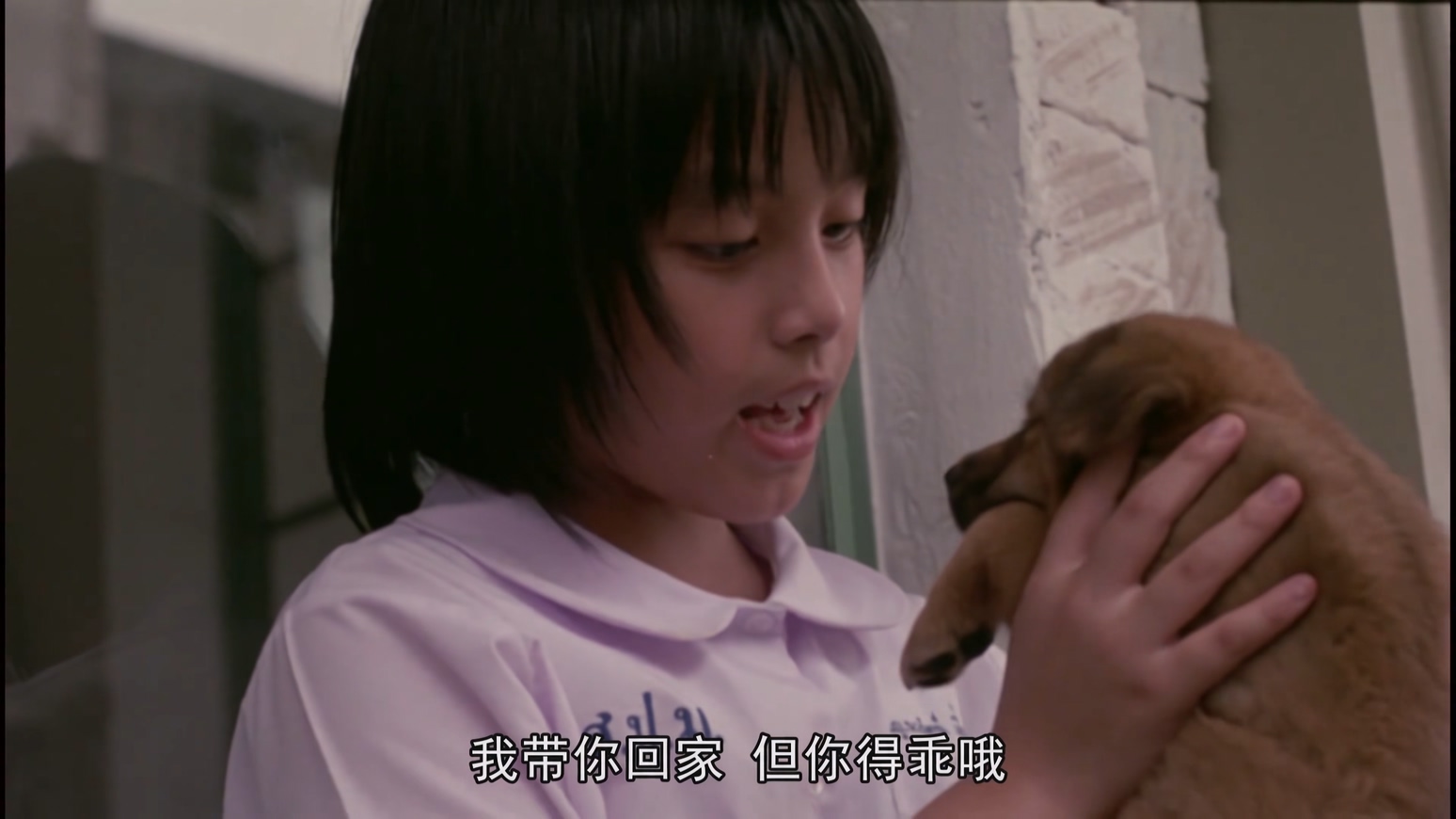 再见 流浪犬 2006 (国配 硬中字).mkv_20250414_213341.541.jpg