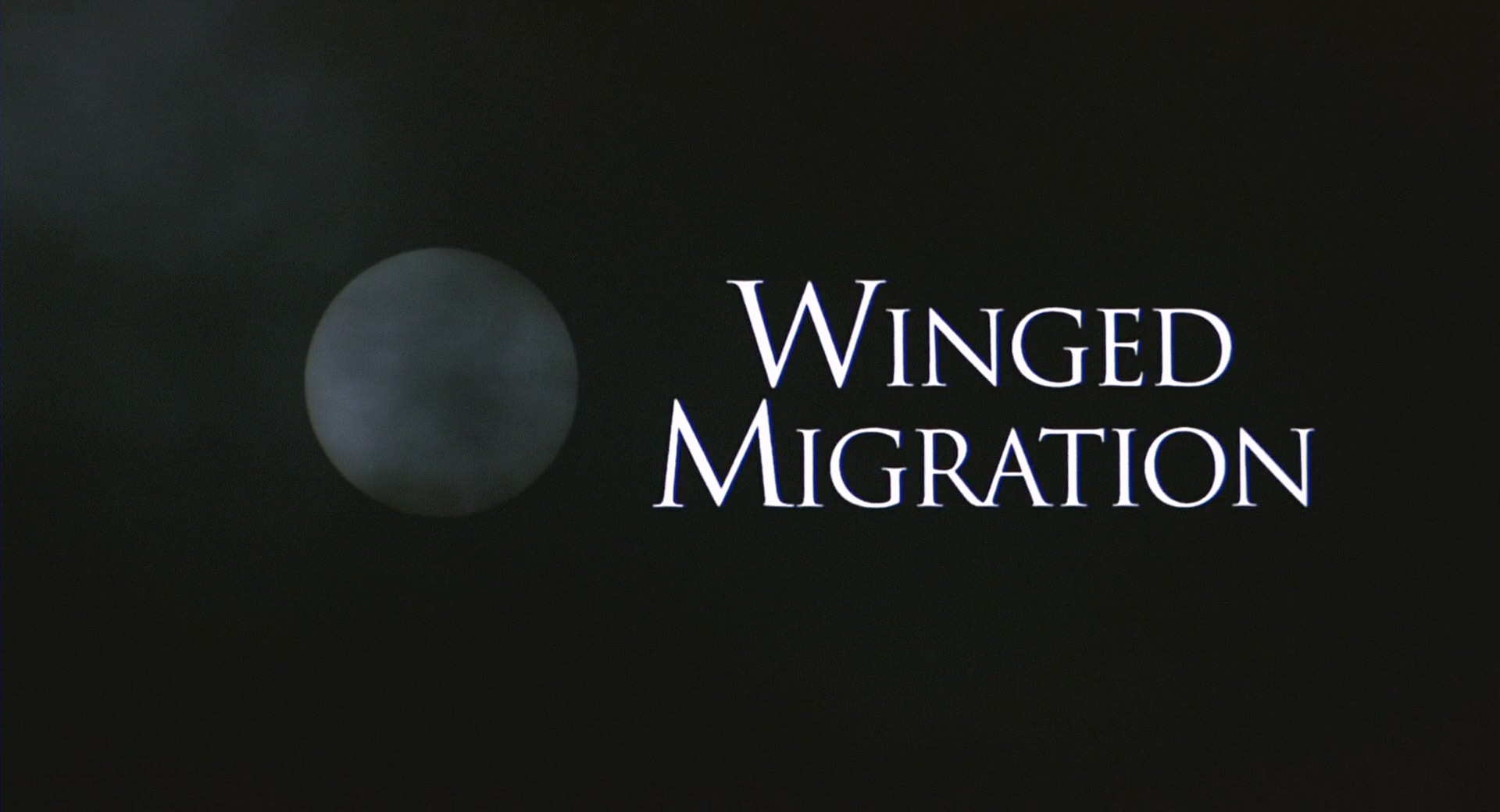 Winged.Migration.2001.Bluray.1080p.DTS.4Audio.x264-CHD.mkv_20250416_200949.597.jpg