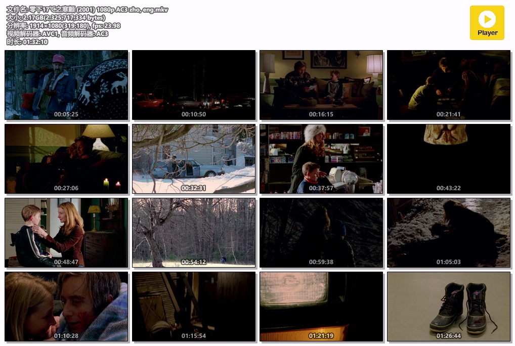 零下17℃之寒颤 (2001) 1080p AC3 zho, eng.mkv.jpg