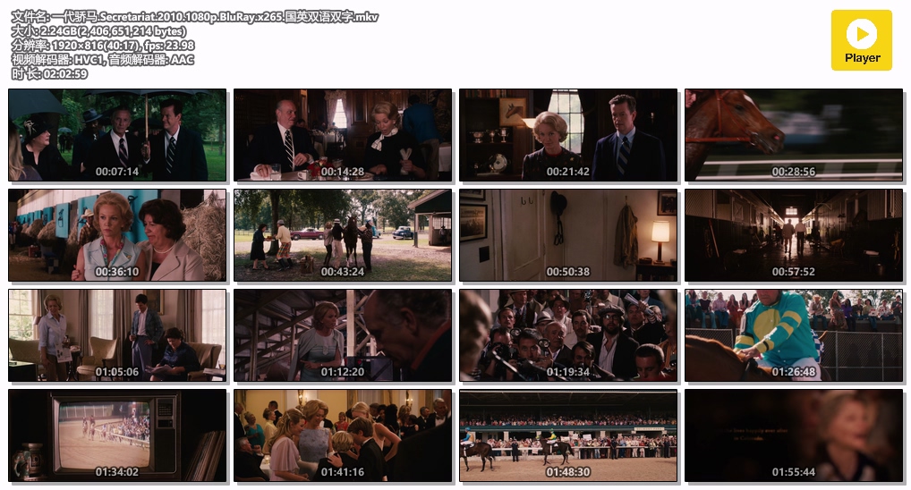 一代骄马.Secretariat.2010.1080p.BluRay.x265.国英双语双字.mkv.jpg