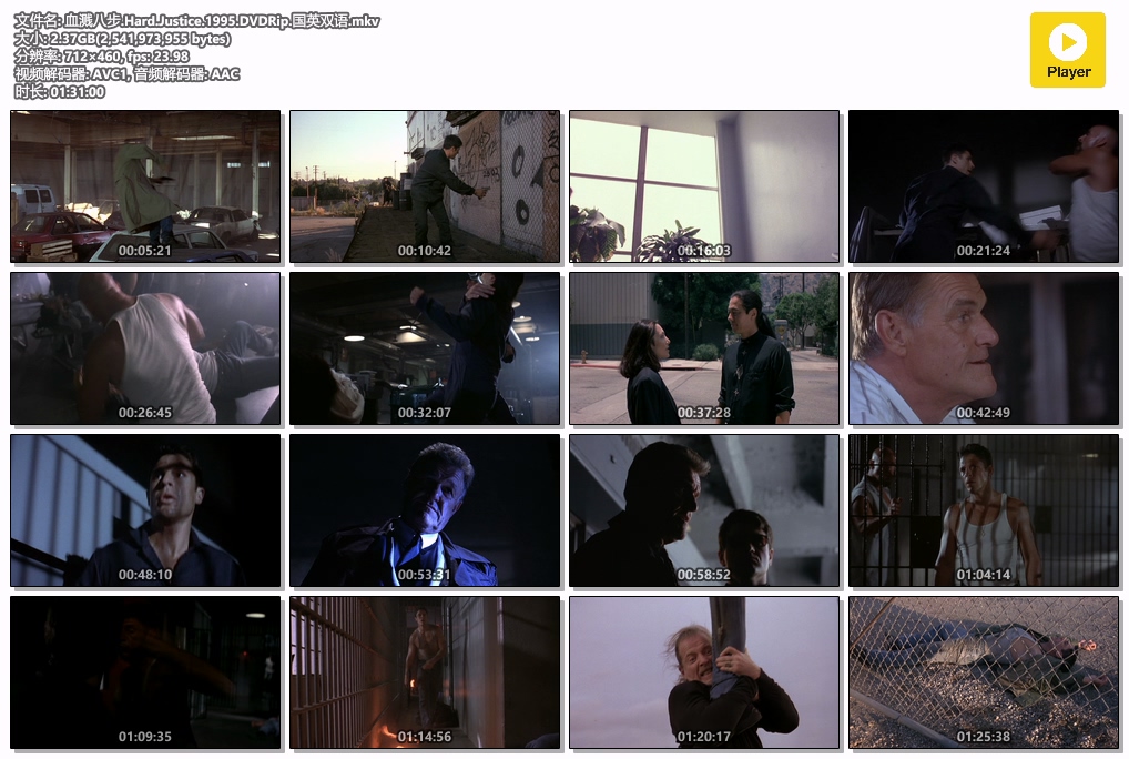 血溅八步.Hard.Justice.1995.DVDRip.国英双语.mkv.jpg