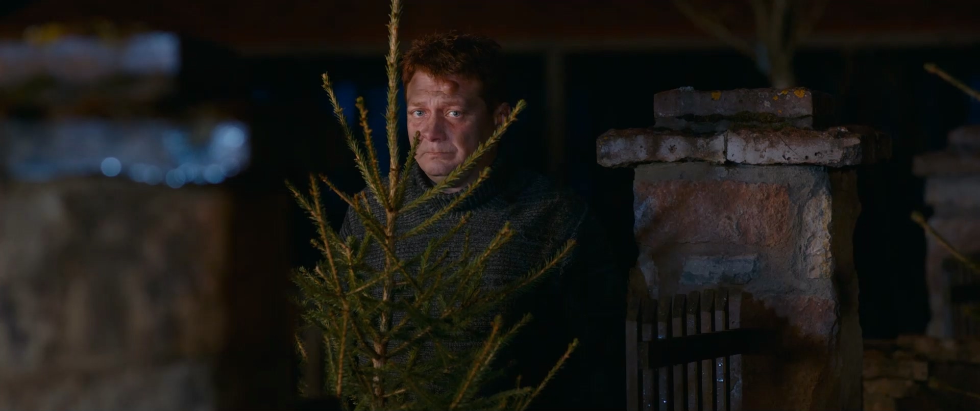 小狗当家 Ёлки лохматые (2015) BluRay 1080p 448kbp央视国俄双语.mkv_20.jpg