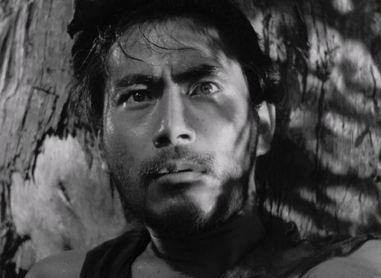 罗生门(CC标准收藏版).Rashomon.1950.Criterion.Collection.Bluray.1080p.x265.AAC.4A.jpg