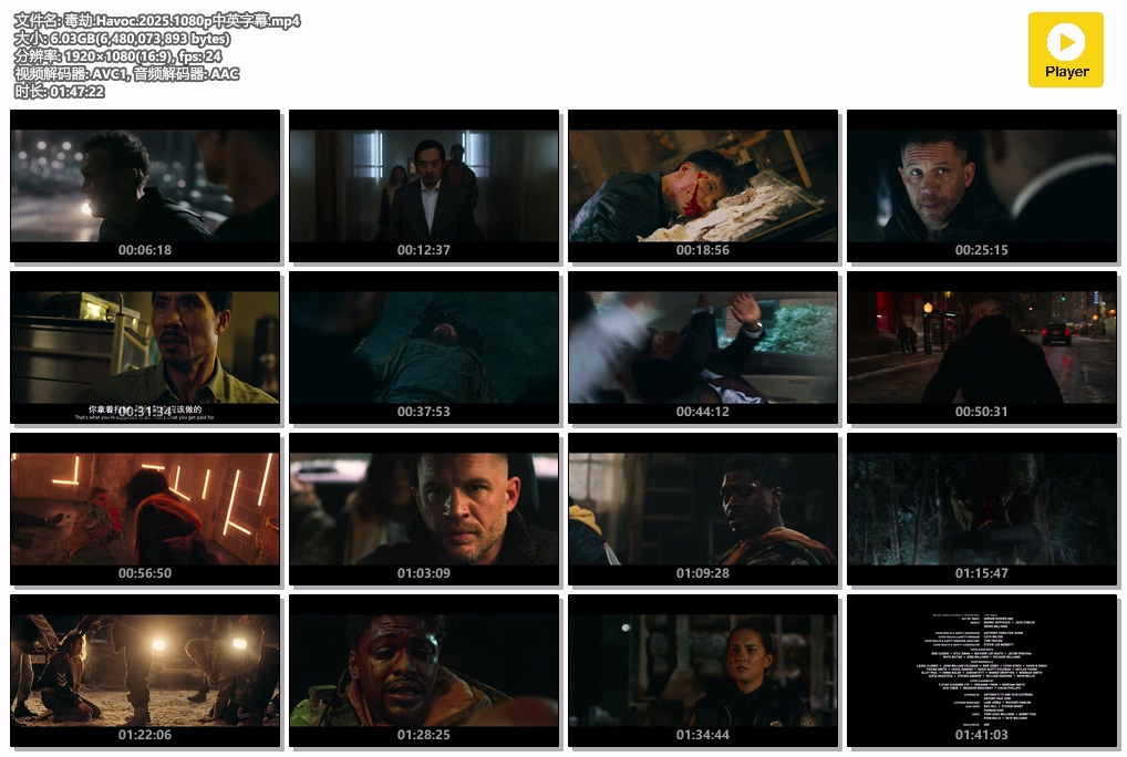 毒劫.Havoc.2025.1080p中英字幕.mp4.jpg
