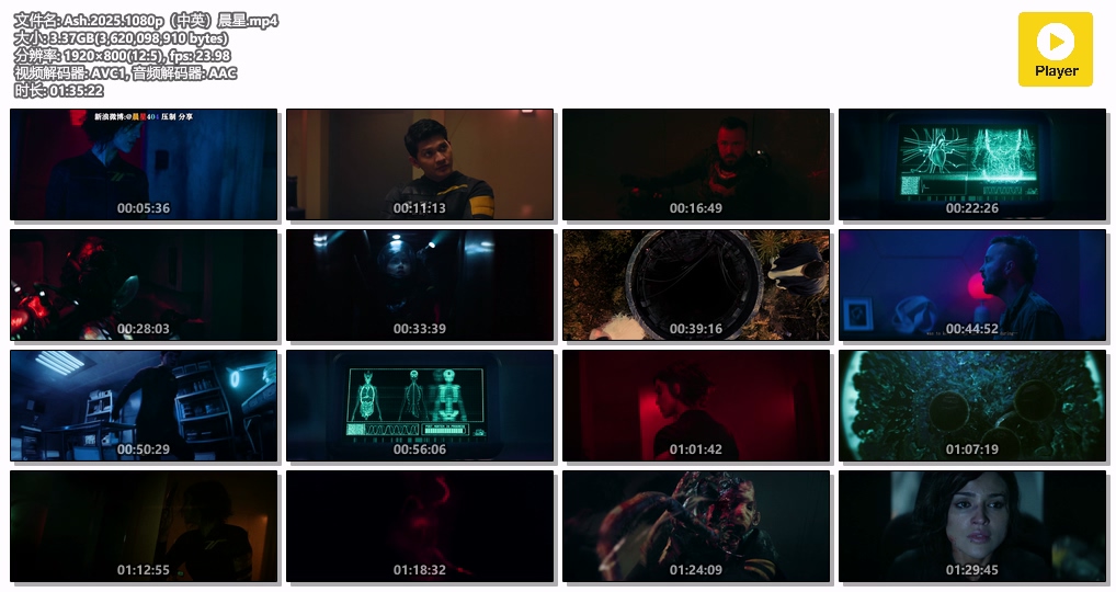 Ash.2025.1080p（中英）晨星.mp4.jpg