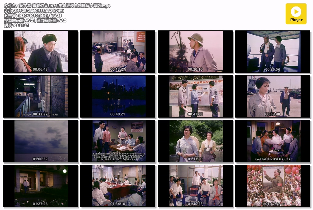 [硬字幕]青春似火.1976.笑志狂谈自制详解字幕版.mp4.jpg