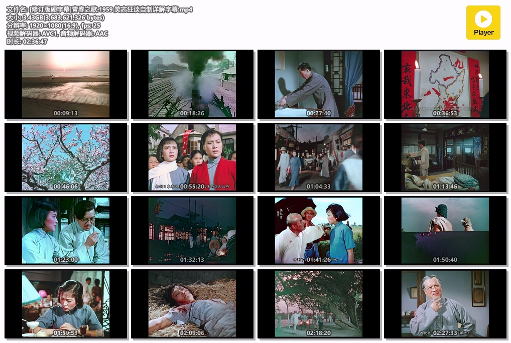 [修订版硬字幕]青春之歌.1959.笑志狂谈自制详解字幕.mp4.jpg