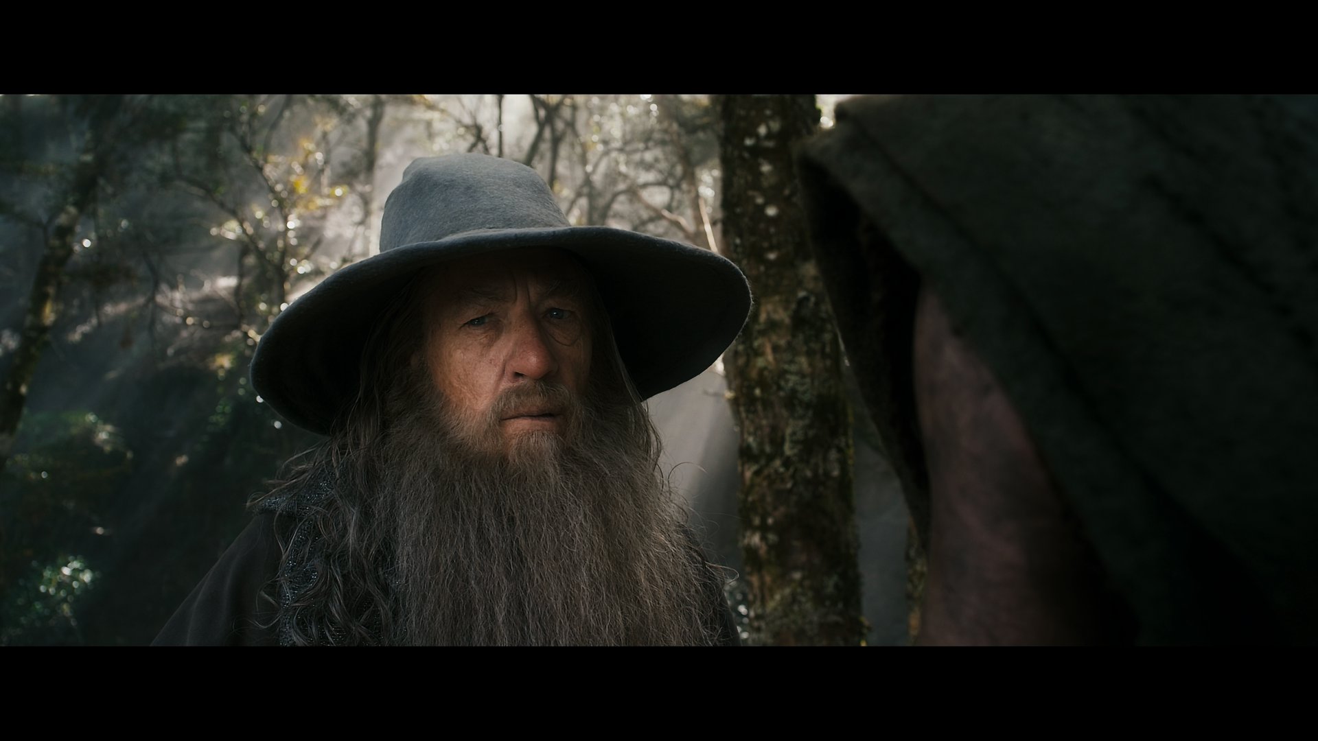 霍比特人2：史矛革之战 (2013).mkv_20250430_140153.281.png