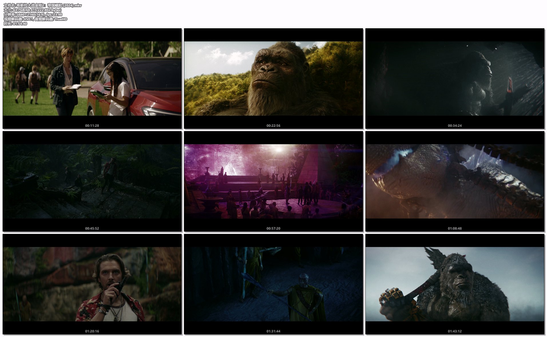 哥斯拉大战金刚2：帝国崛起 (2024).mkv.png