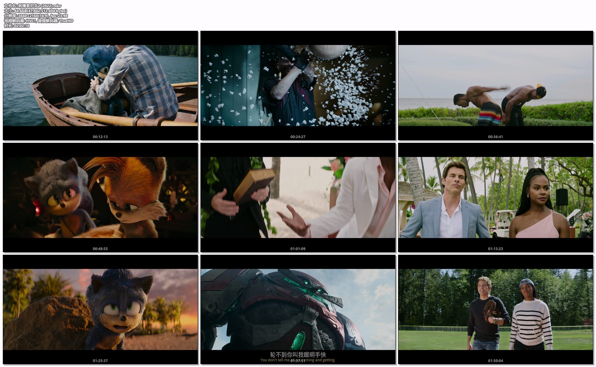 刺猬索尼克2 (2022).mkv.png