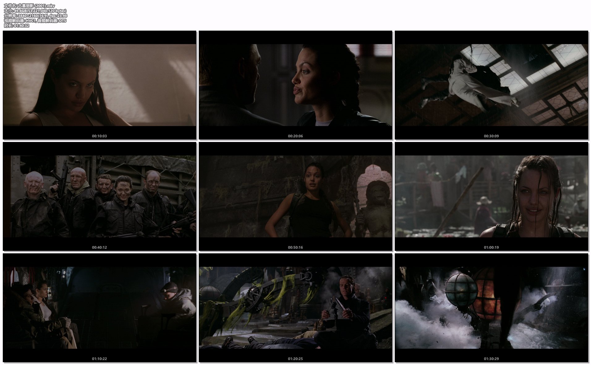 古墓丽影 (2001).mkv.png